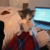Funny Animation